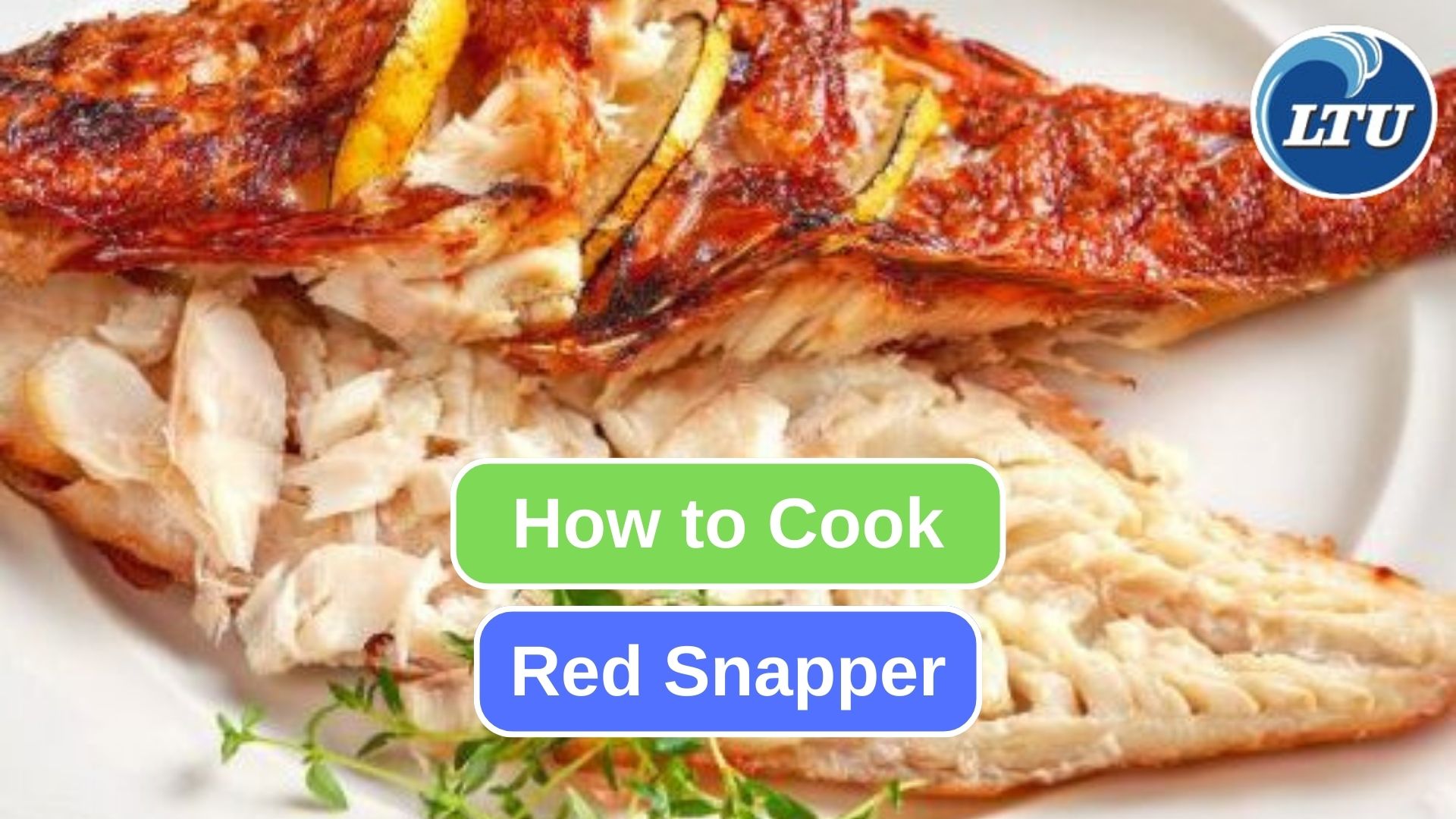 Some Cooking Methods You Can Use to Cook Red Snapper